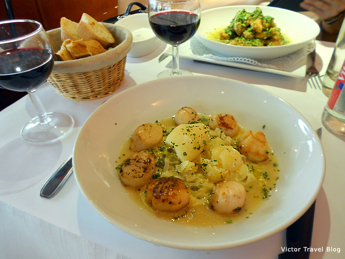 Scallops. Provence, France.